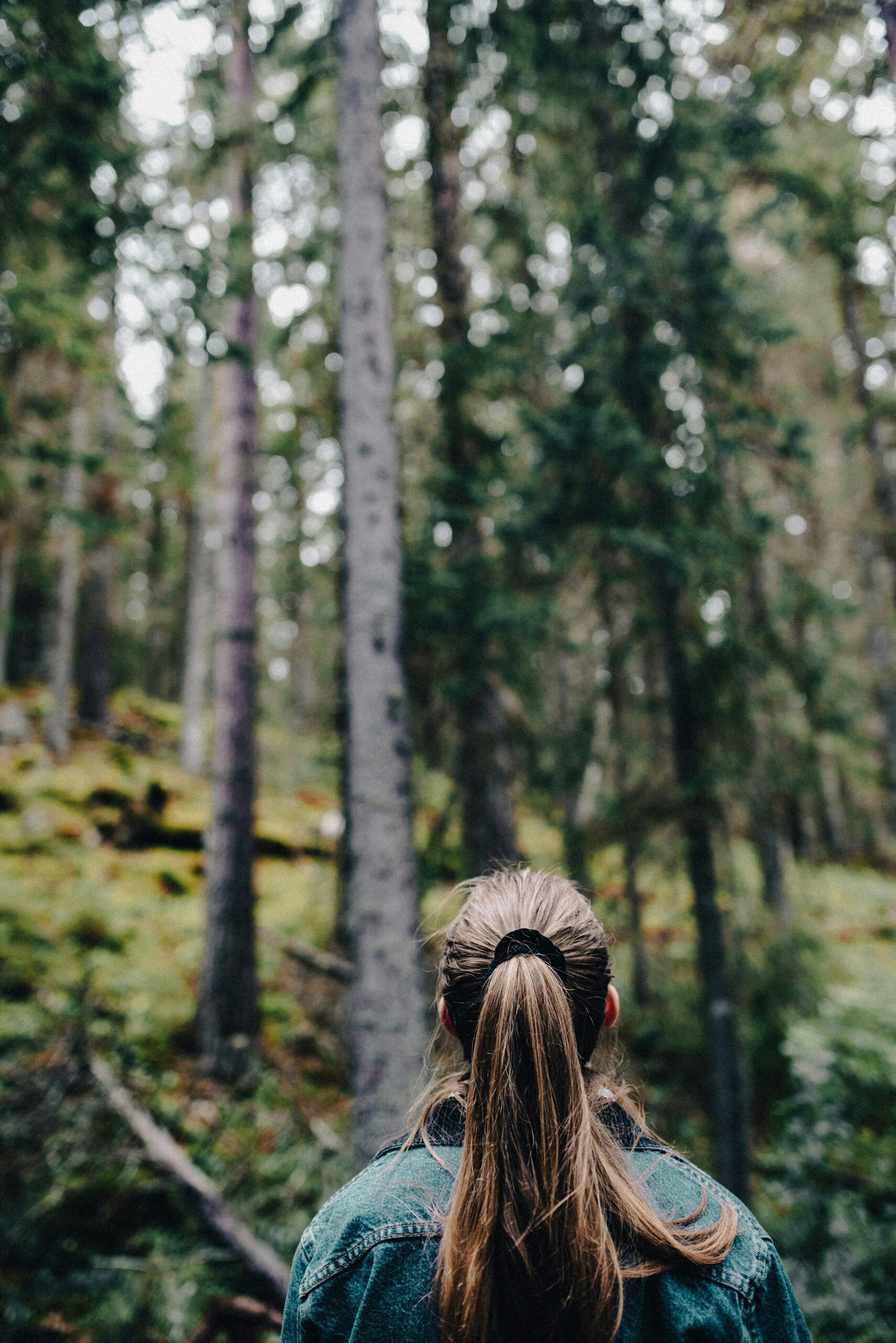 Approche holistique — équilibre entre corps, esprit et nature
